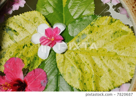 water cup with beautiful flowers background water cup with beautiful flowers background 7820687