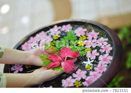female hand and flower in water female hand and flower in water 7821531