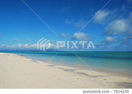 康多海灘 7824230