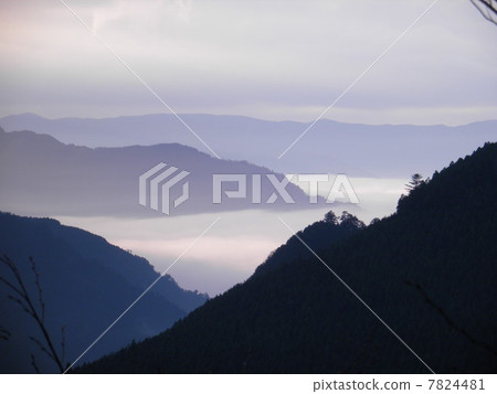 高知的雲海 7824481