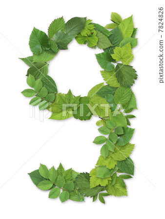 leaf, lower-case letter, foliage 7824826
