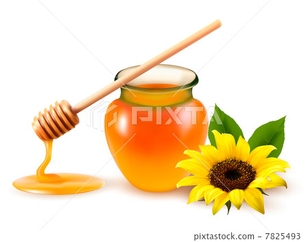 Jar of honey and a dipstick with yellow flower. Vector illustrat 7825493
