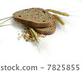 Wholegrain bread, rye ears (spikes) and corn 7825855