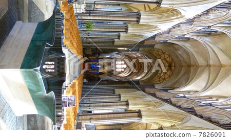 Salisbury Cathedral Salisbury Cathedral 7826091