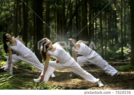 Three young women practising Kungfu 7828536