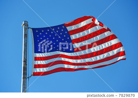 Stars and Stripes Stars and Stripes 7829870