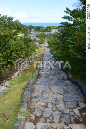 Major road of Nakijin castle (Okinawa prefecture Kokubo-gun Nakijin village) Major road of Nakijin castle (Okinawa prefecture Kokubo-gun Nakijin village) 7829996
