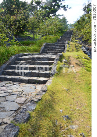 今歸仁城的主要道路（沖繩縣國分郡今歸仁村） 7830007