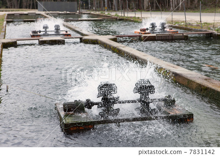 Mass farm farm Mass farm farm 7831142