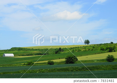 Hill scenery of Okhotsk (Abashiri City) 7831481