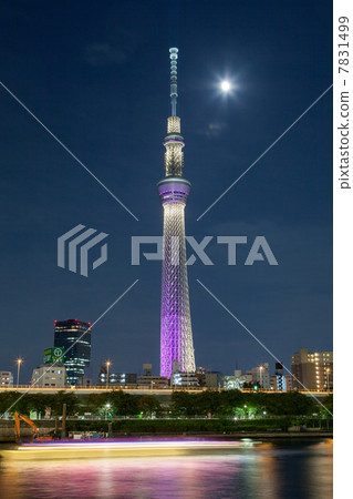 Tokyo Sky Tree Light Up Ya 7831499