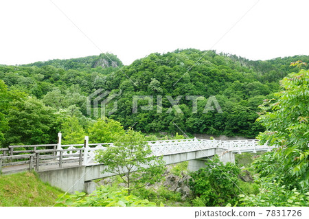 Kamuikotan·Kamii Ohashi(旭川市)的懸索橋 Kamuikotan·Kamii Ohashi(旭川市)的懸索橋 7831726
