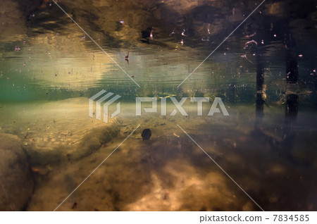 Seychelles Island 7834585