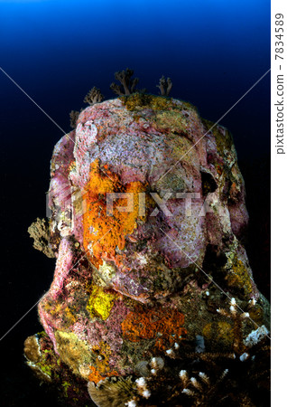 Underwater Buddha 7834589