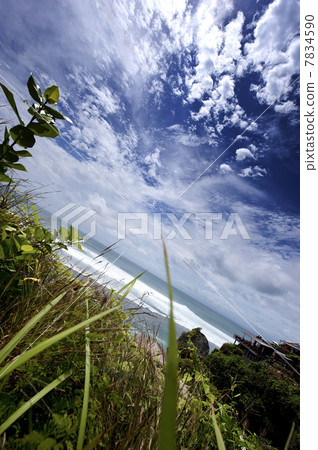 Bluepoint Bali 7834590