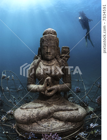 Coral Goddess 7834591