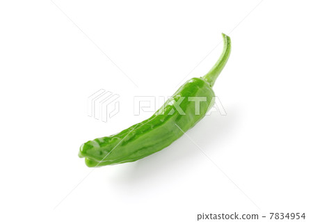 獅子唐 獅子唐 7834954