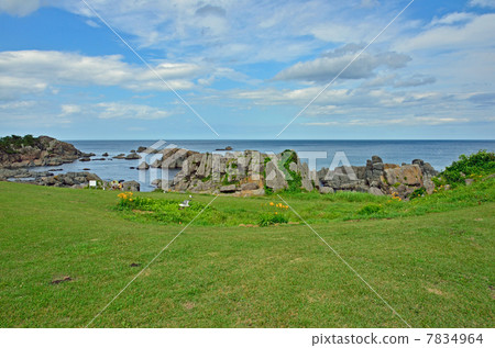 Hachinohe步行·種類自然草坪品種種類海岸 7834964