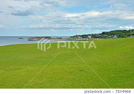 Hachinohe步行·種類自然草坪品種種類海岸 7834966