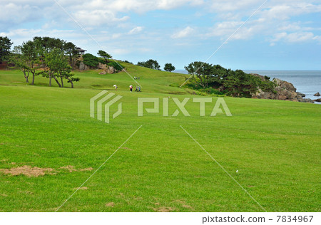 Hachinohe步行·種類自然草坪品種種類海岸 7834967