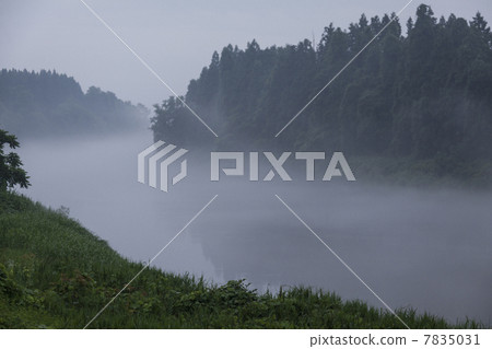 Mogami River 7835031