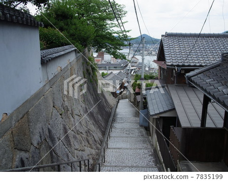 Senkoji Shinto 7835199