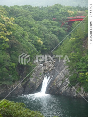 屋久島Trouki瀑布 7835204