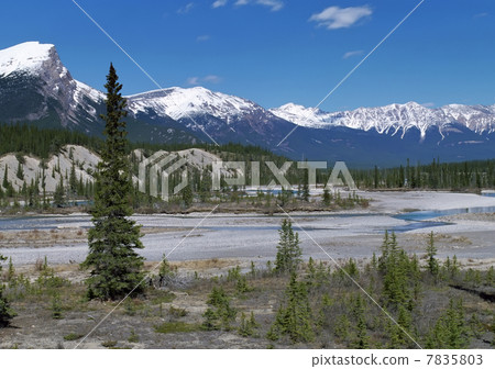 Panoramic view on Canadian Rockies Mountains Panoramic view on Canadian Rockies Mountains 7835803