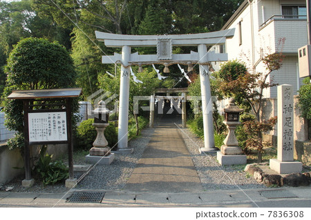 神社 神社 7836308