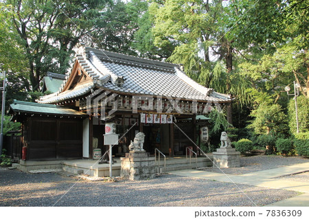 神社 神社 7836309