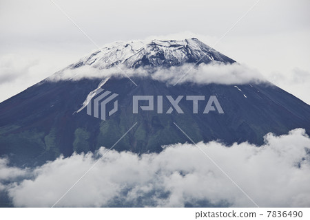 Clouds and Mt. Fuji Clouds and Mt. Fuji 7836490