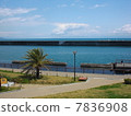 A water park 7836908