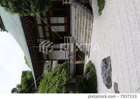 岩石花園財政園 7837133