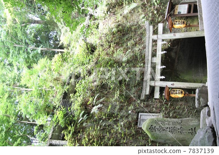 Torii Benten Torii 7837139