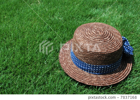 Summer Straw Hat 7837168