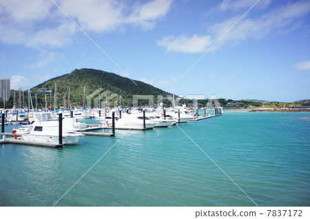 Yotto Harbor  7837172