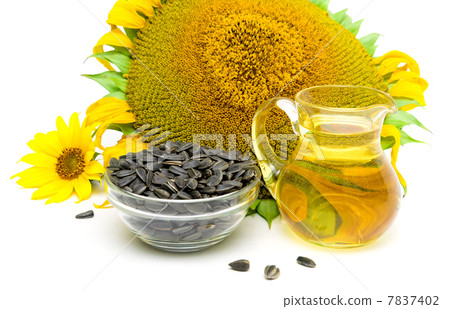 oil and sunflower seeds close up on a white background. oil and sunflower seeds close up on a white background. 7837402