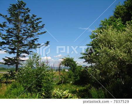 北海道花園 7837529