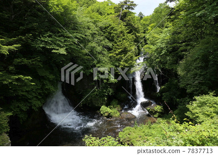 Nikko Tochigi prefecture early summer crown waterfall 7837713