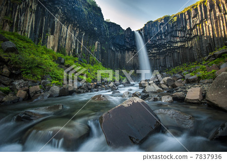 Svartifoss, Black Waterfall, Iceland 7837936