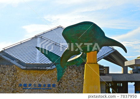 沖繩美麗海水族館（沖繩縣國頭郡石川總部） 7837950