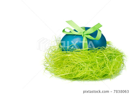 easter egg in nest easter egg in nest 7838063