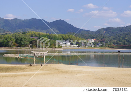 Nagasawa pond 7838181