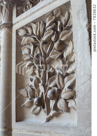 巴黎圣母院 7838632