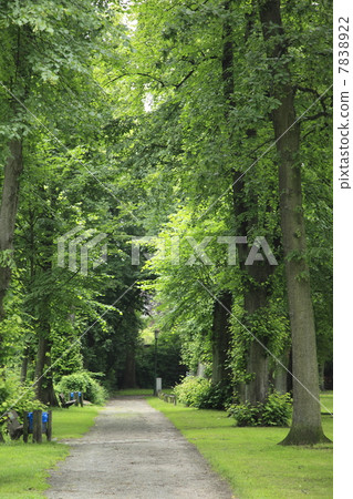 Green path Green path 7838922