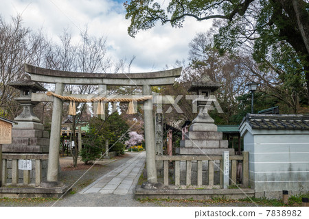 Kyoto Misono Munakata Shrine Kyoto Misono Munakata Shrine 7838982