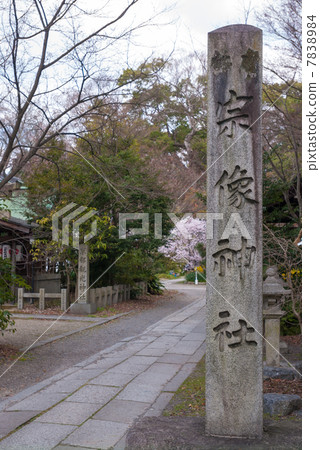 Kyoto Misono Munakata Shrine 7838984