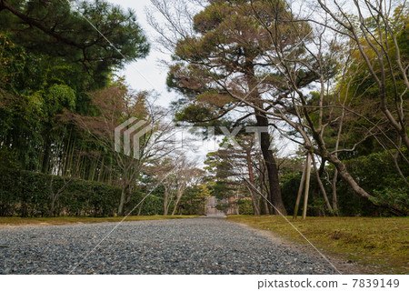 Katsura Rikyu Katsura Rikyu 7839149