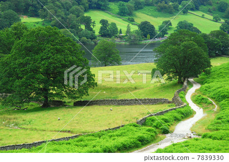 沿湖的路徑 7839330