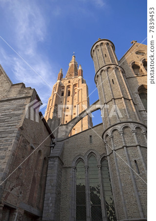 The Saint Salvador Cathedral in Bruges 7839453
